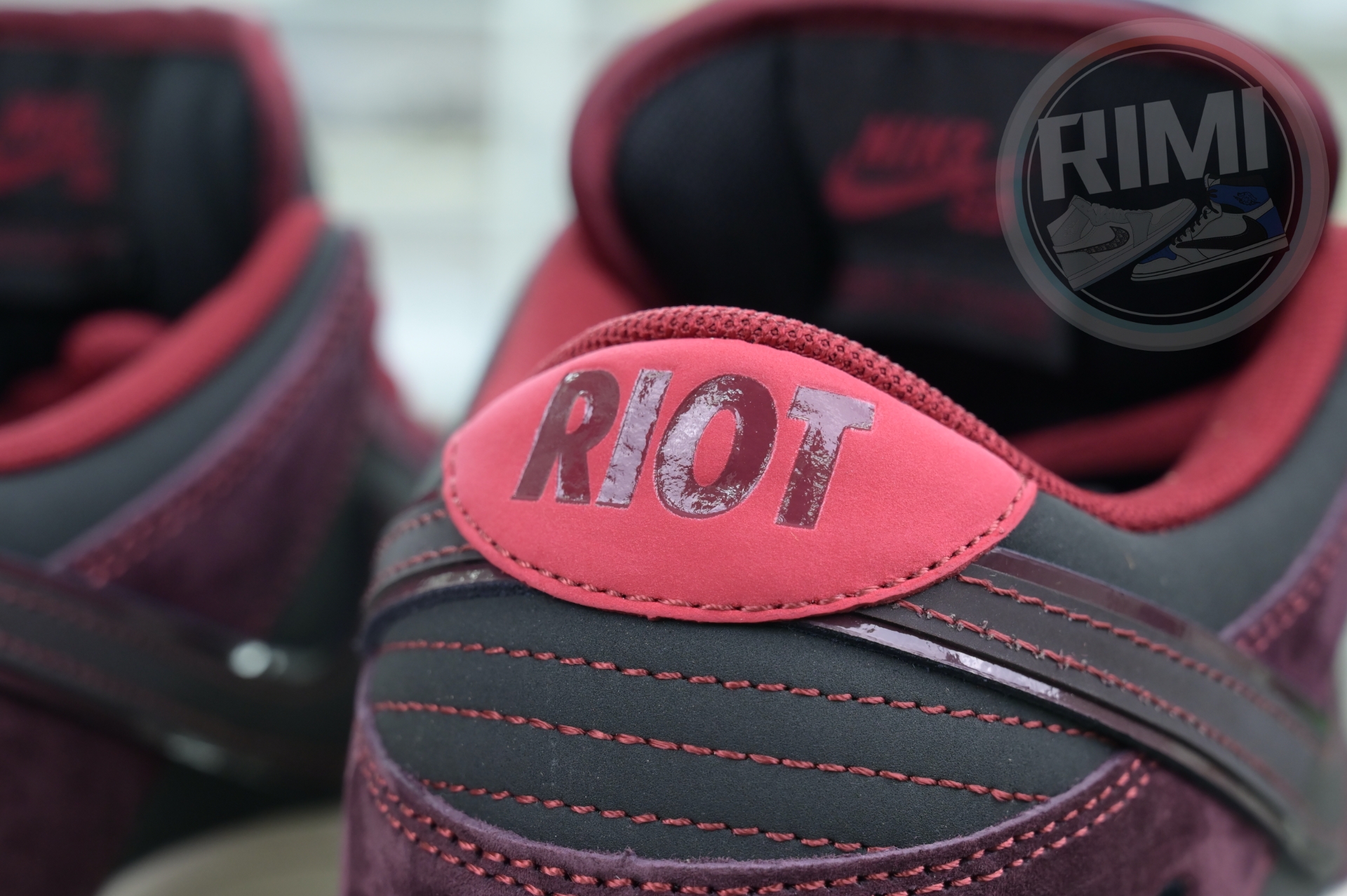 RIOT Skateshop x Nike SB Dunk Low