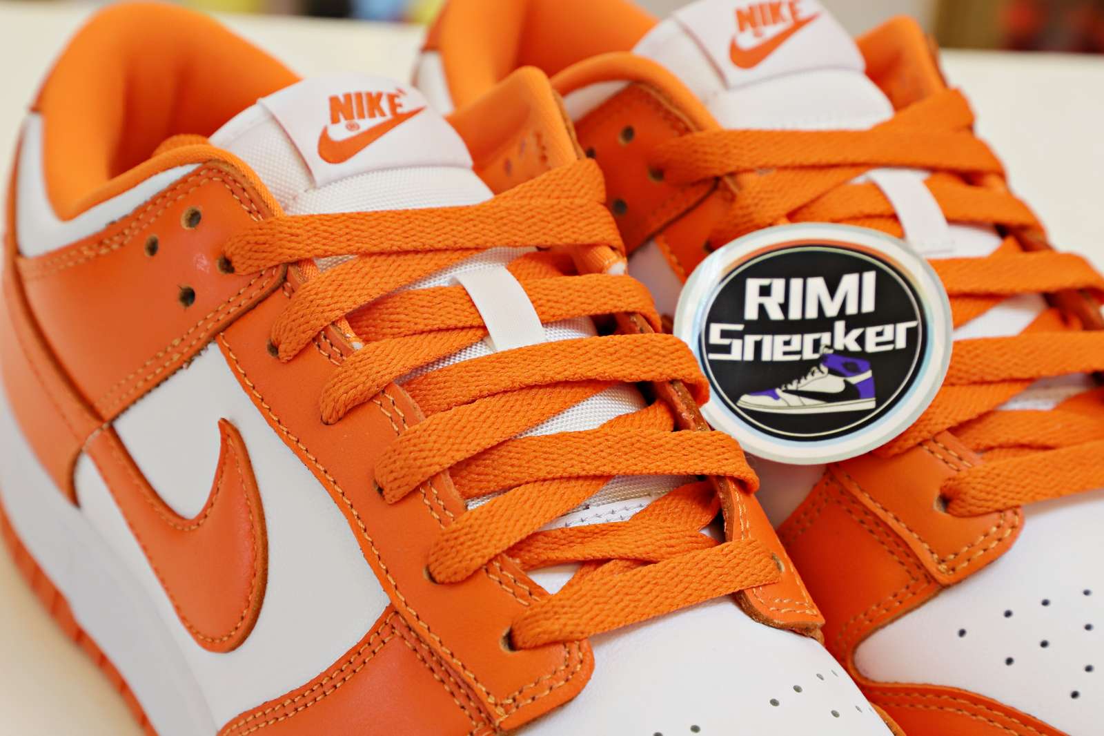 NIKE DUNK LOW RETRO SP