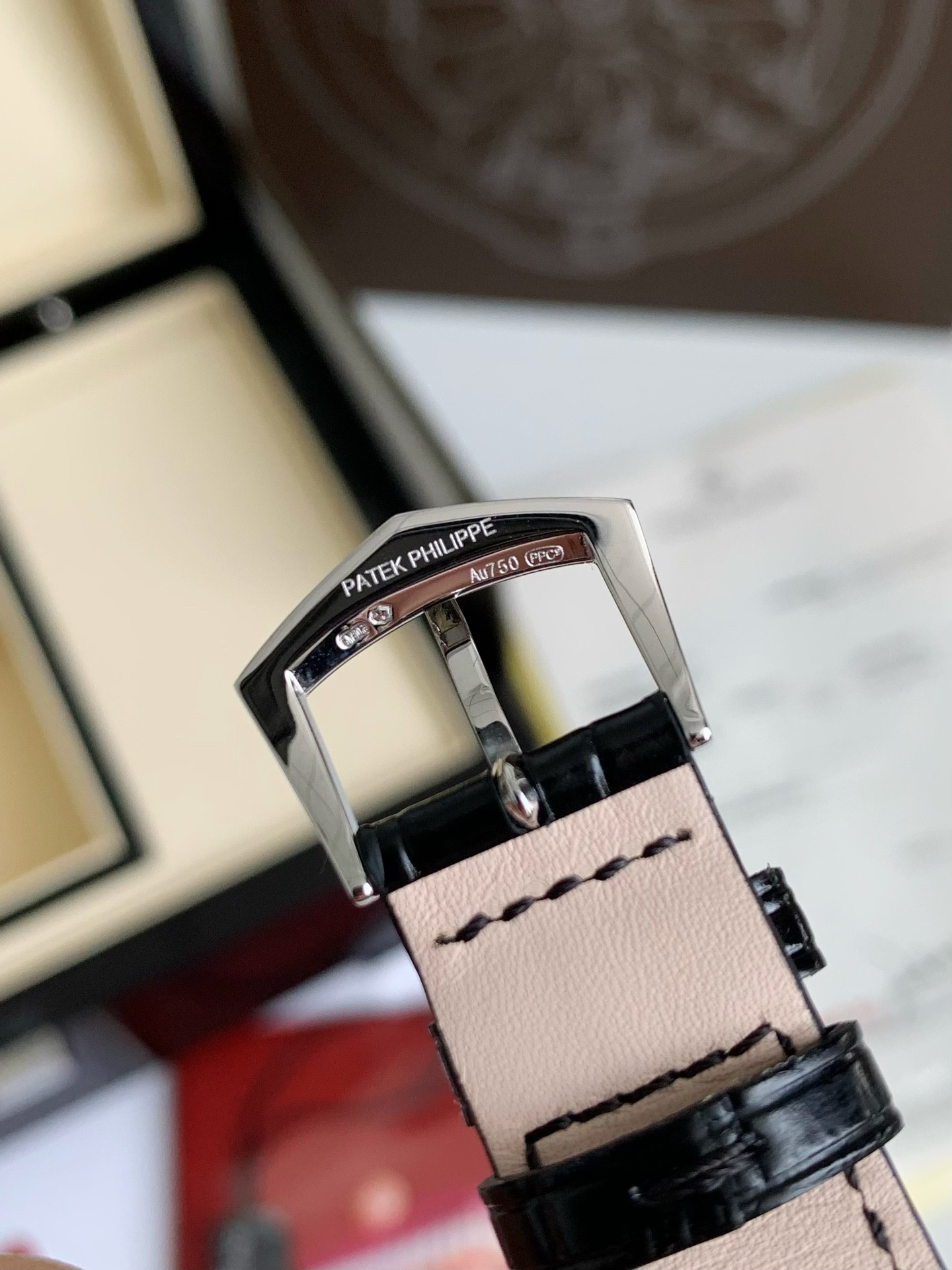 PATEKPHILIPPE 5205G-013 s eries watch