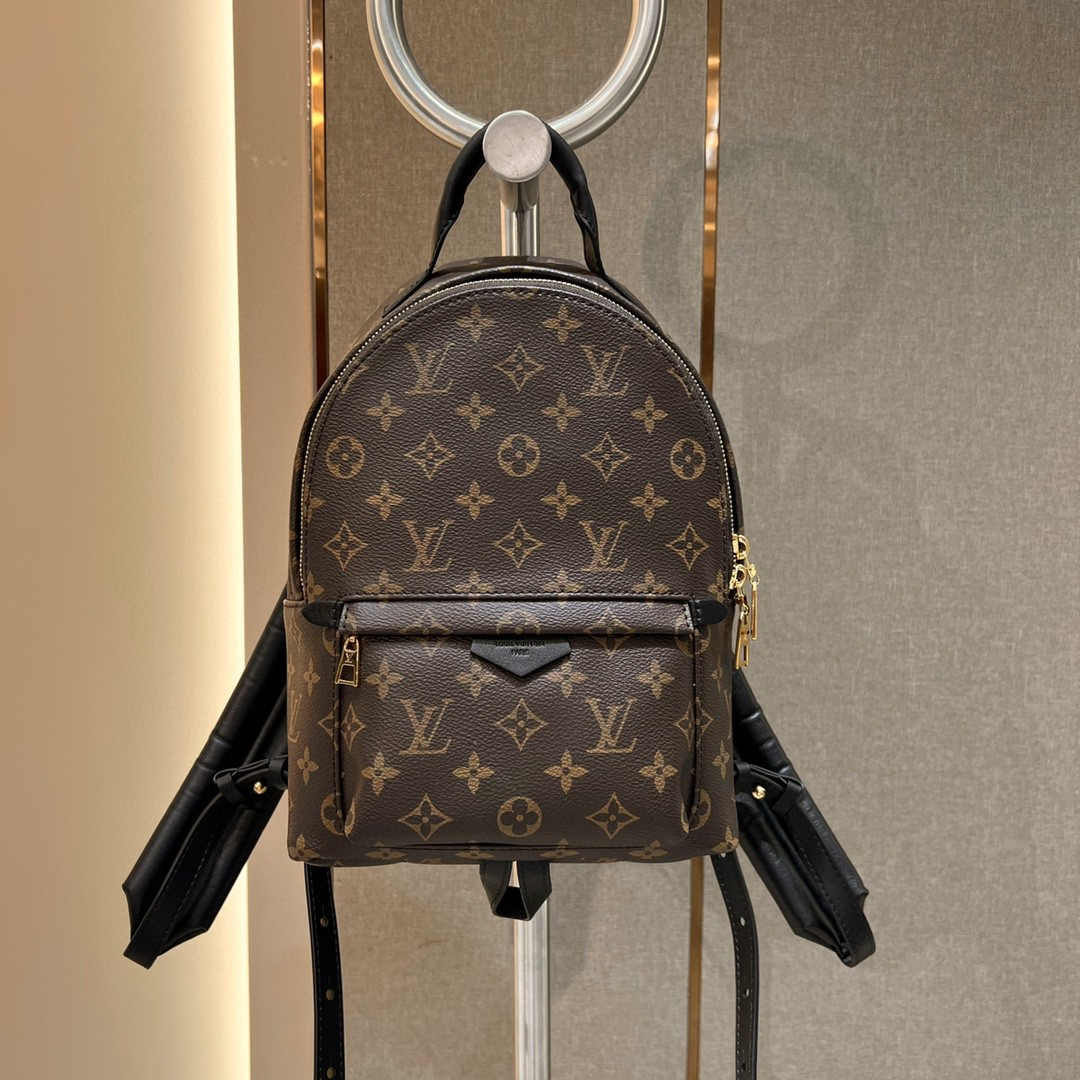 Louis Vuitton Palm Springs Bag