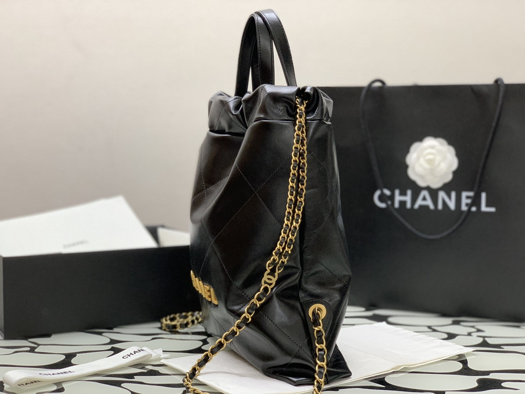Chanle 22 Backpack