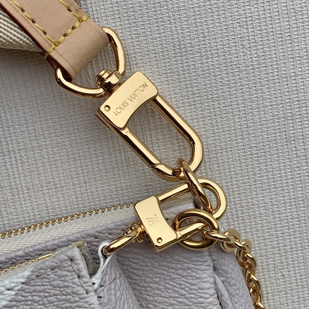 Louis Vuitton Multi Pochette Accessories Bag