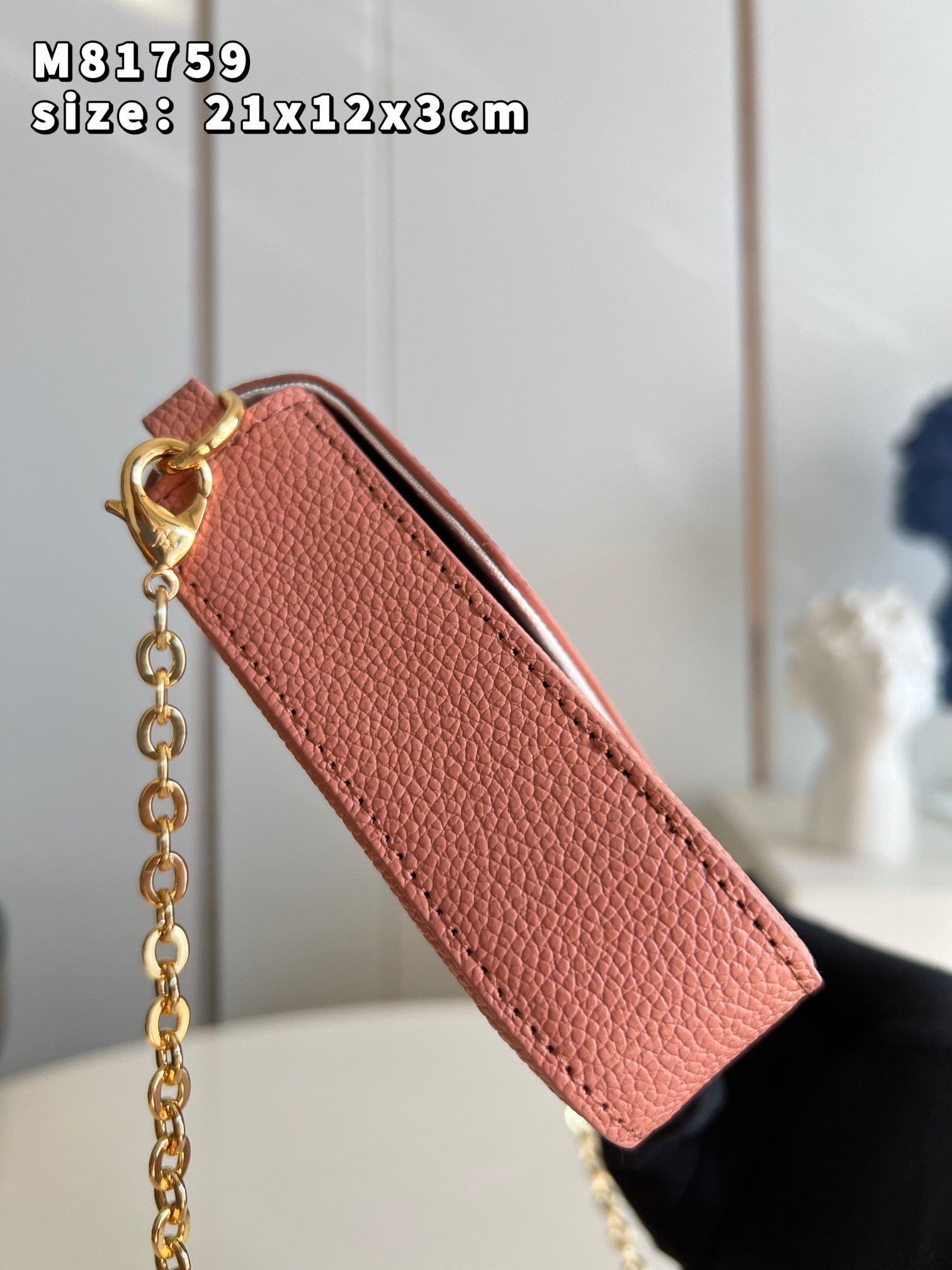 Lv Pochette Félicie Bag