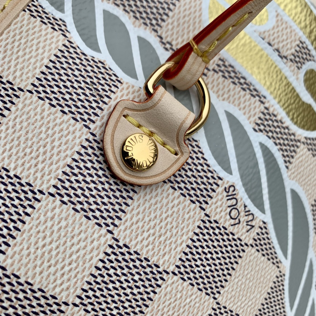 Louis Vuitton Neverfull Bag