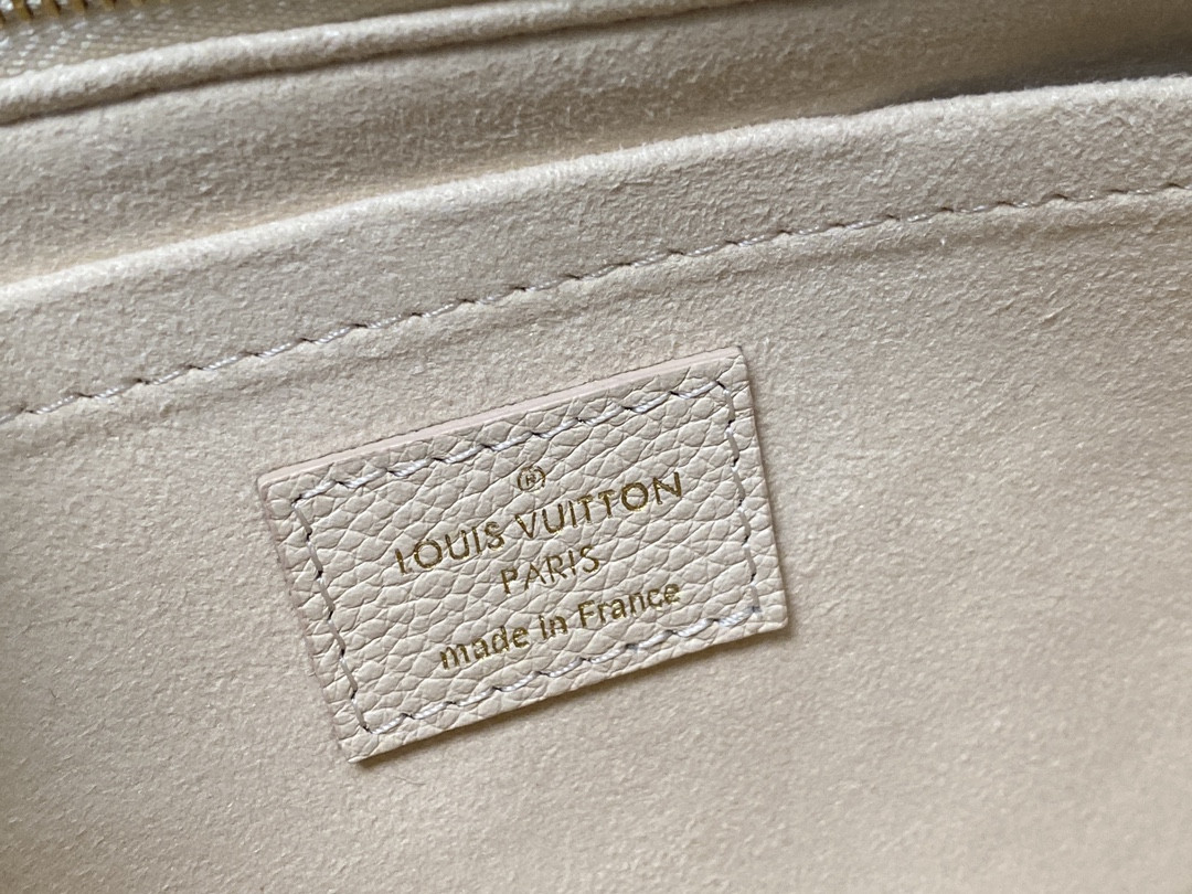 Louis Vuitton Multi Pochette Accessories Bag