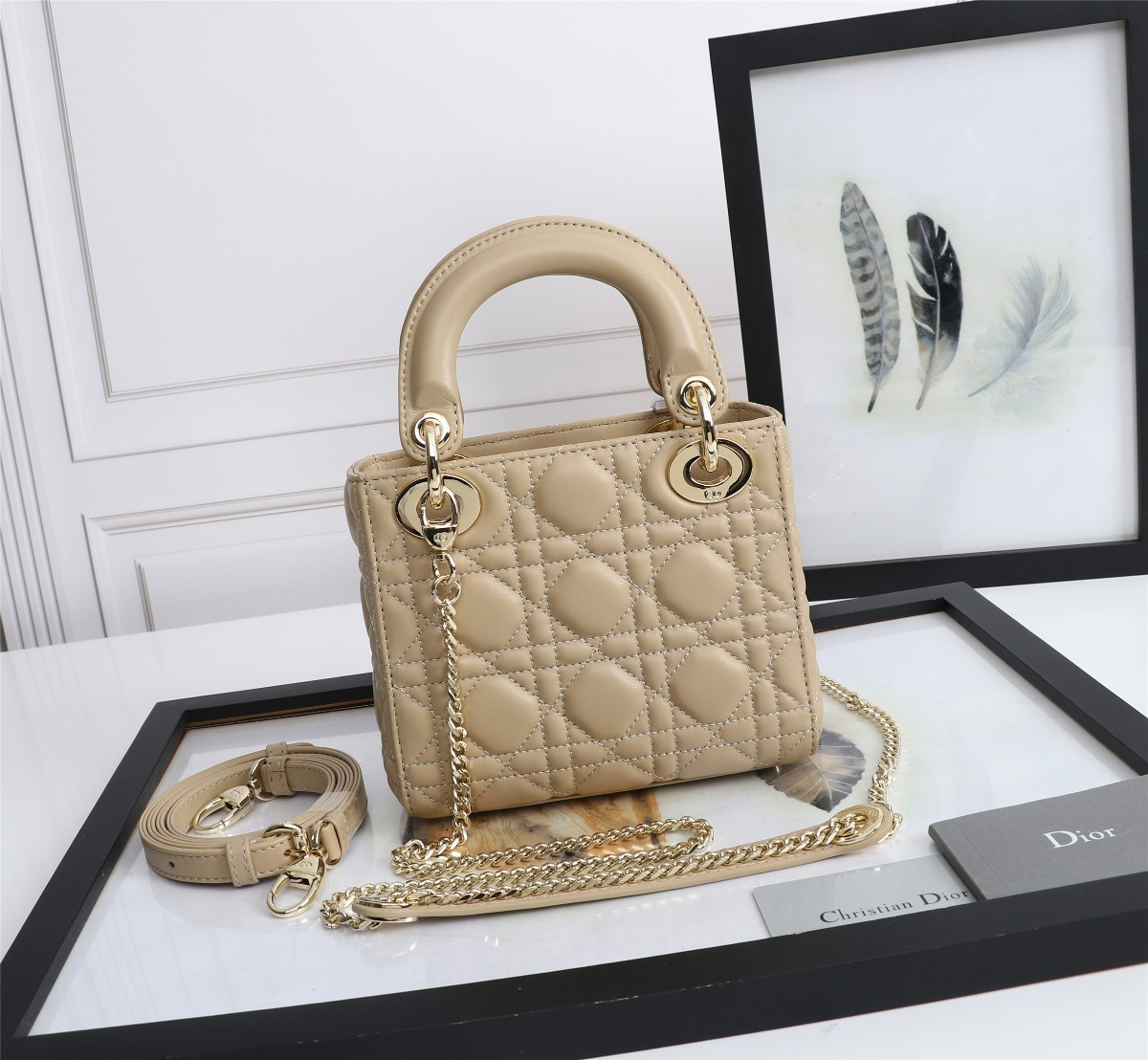 Mini Lady Dior Bag