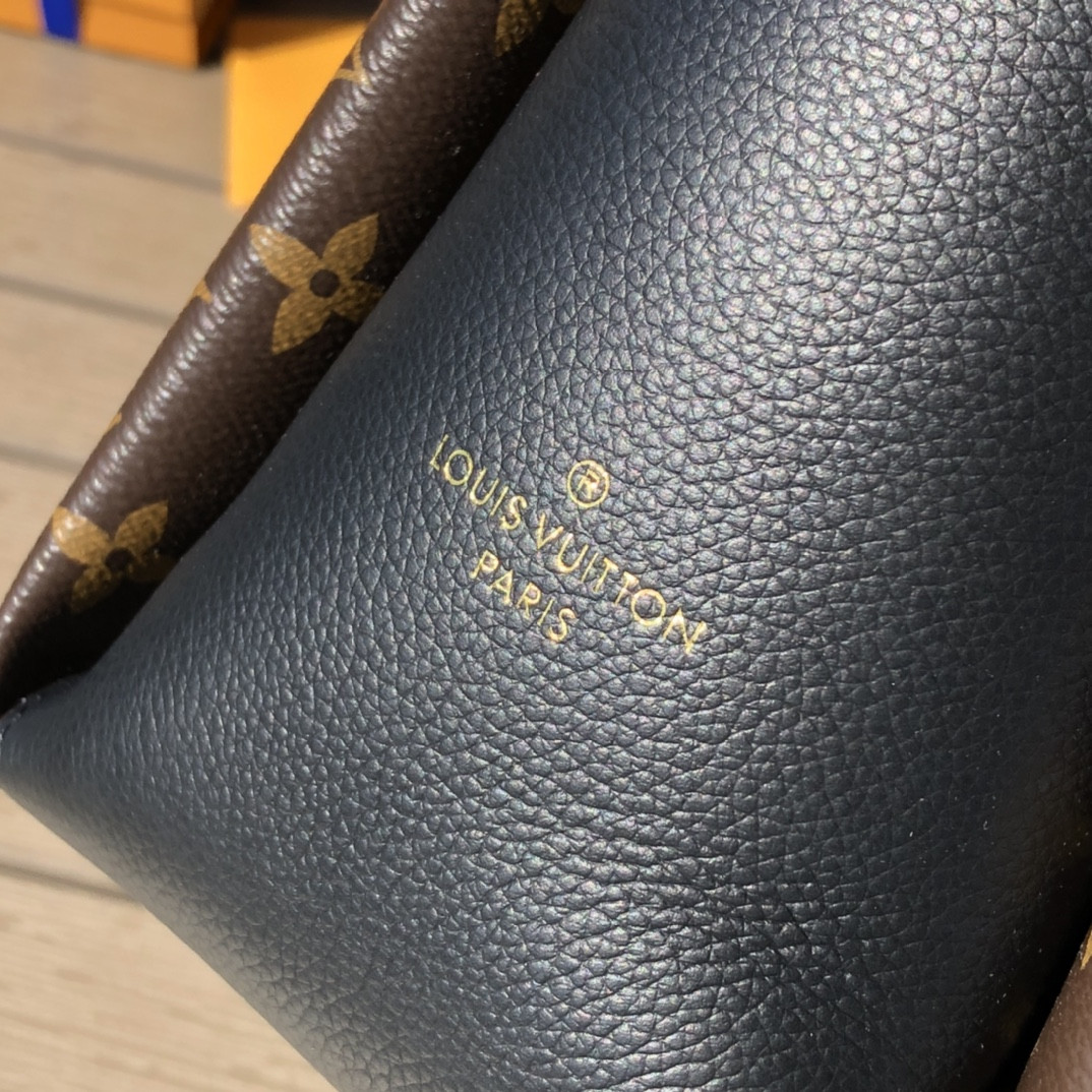 Louis Vuitton Surene Bag