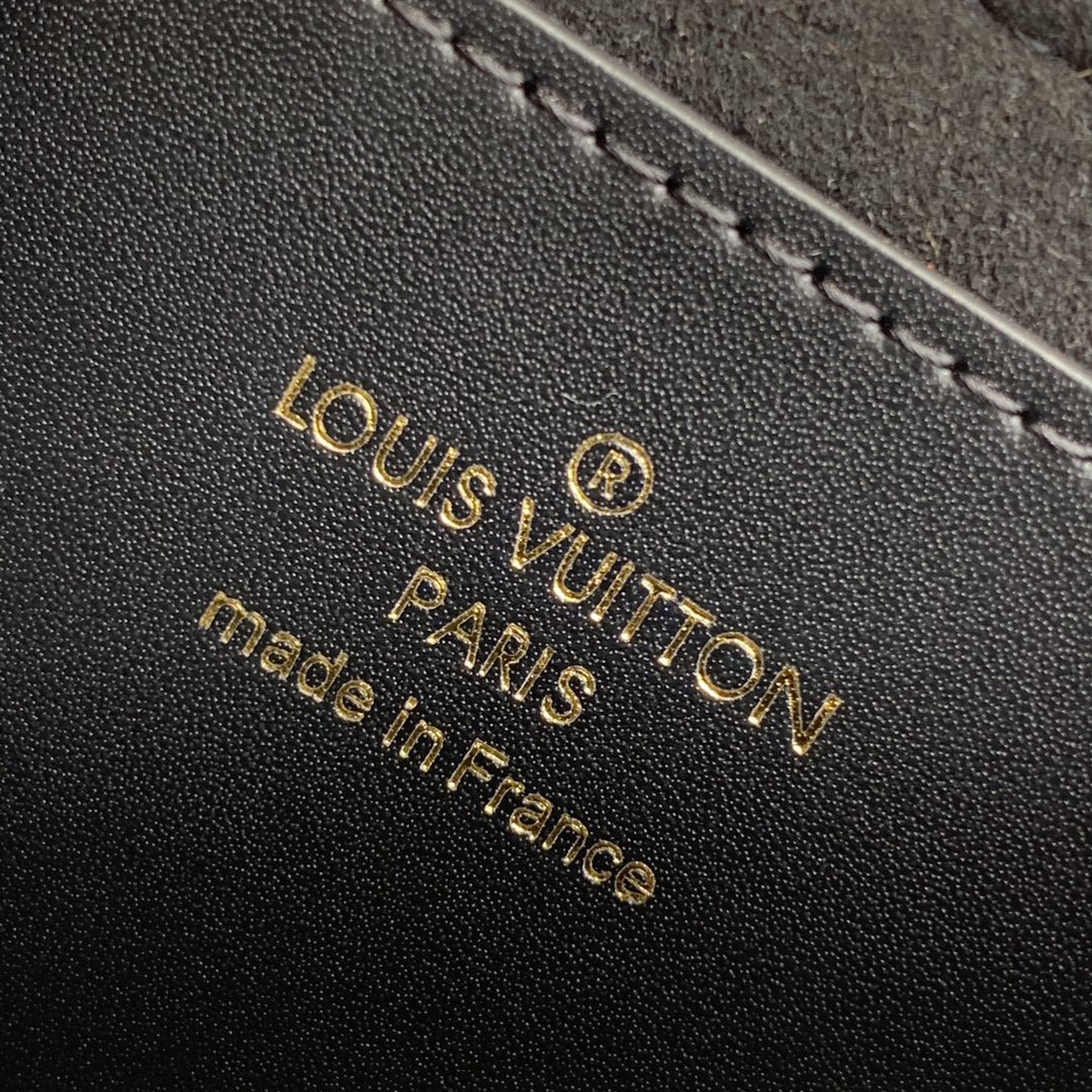 Louis Vuitton Dauphine Multicates Bag