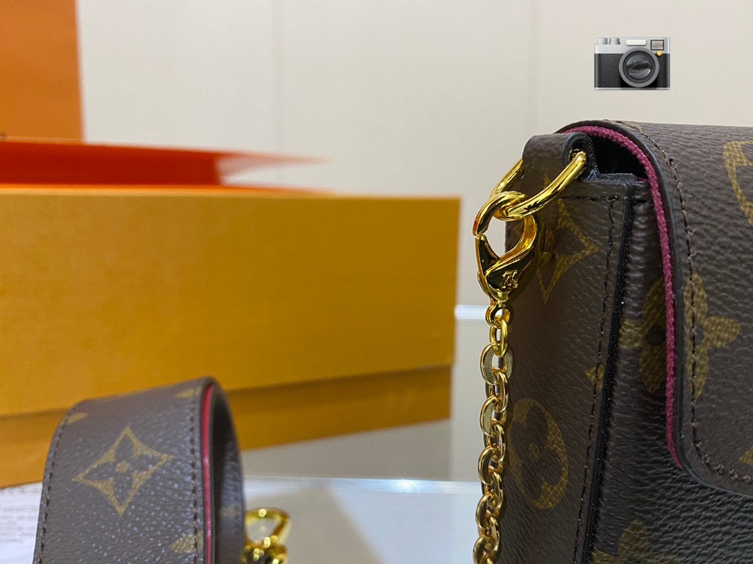 Lv Pochette Félicie Bag