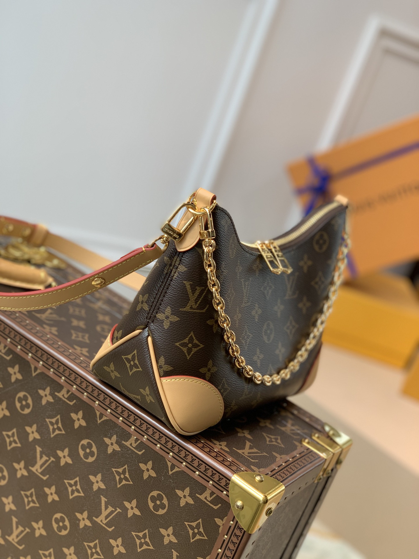 Louis Vuitton Odéon Bag