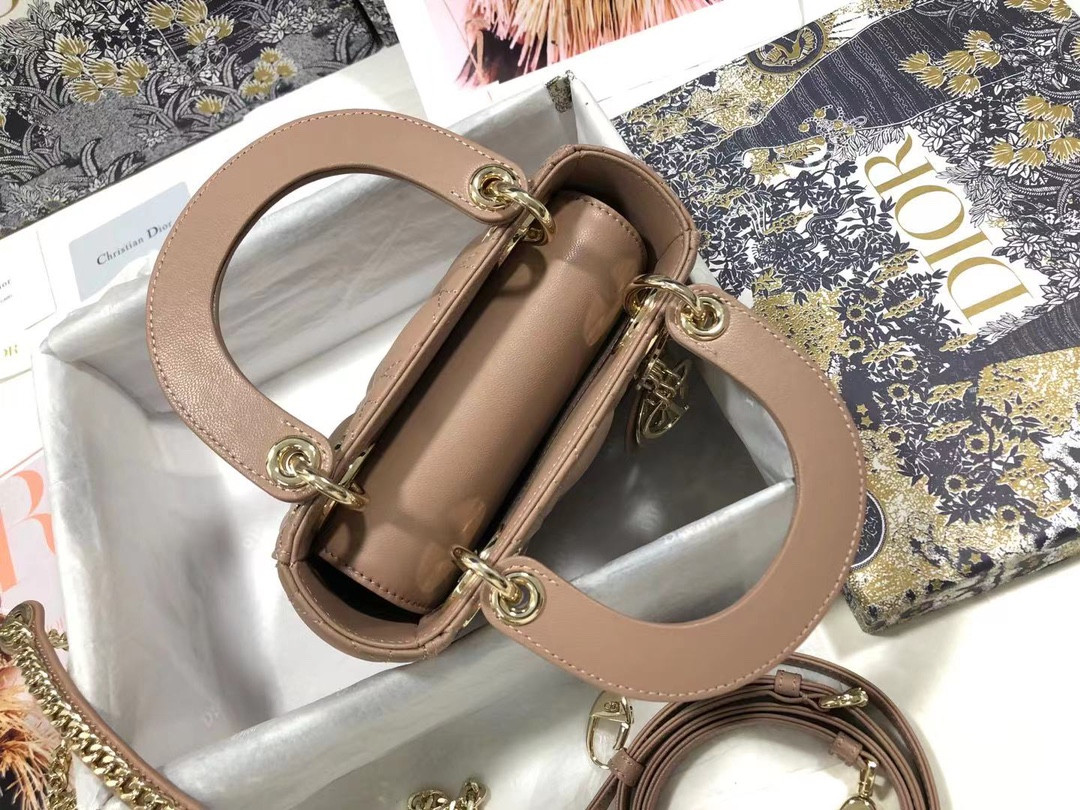 Mini Lady Dior Bag