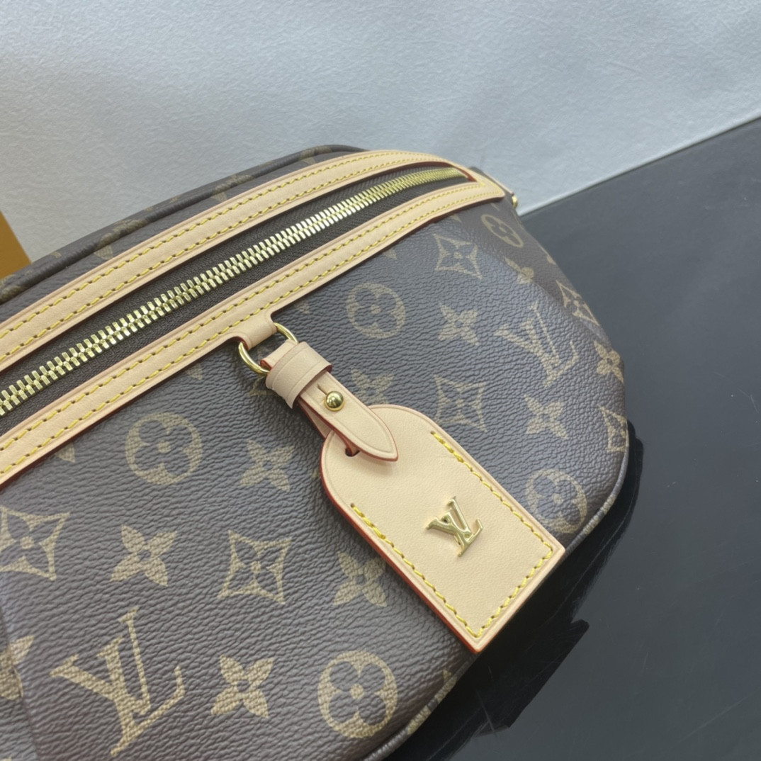 Louis Vuitton Bumbag Bag