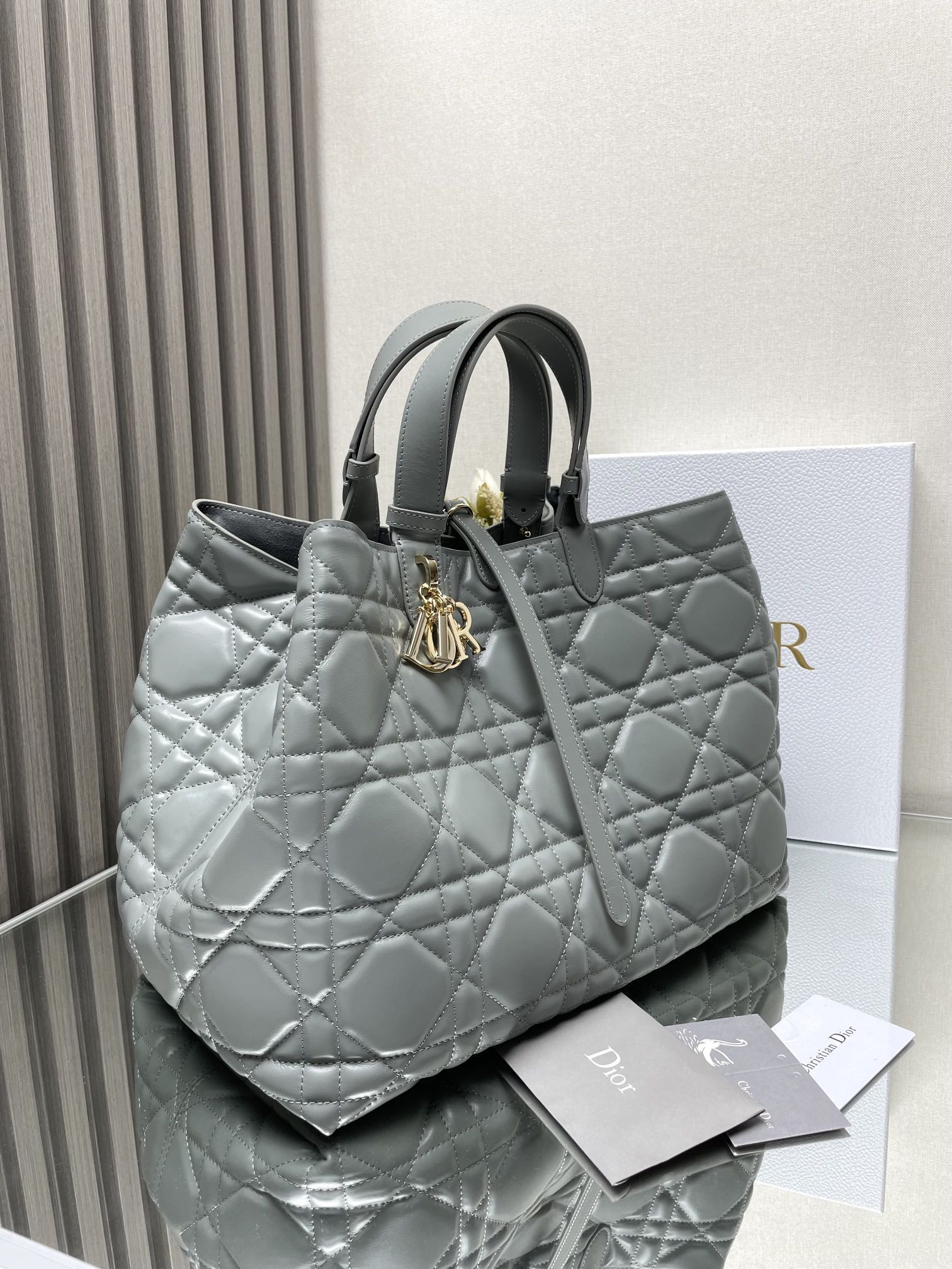 Dior Toujours Bag