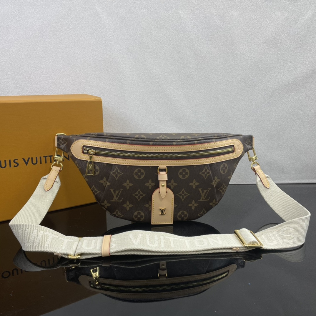 Louis Vuitton Bumbag Bag