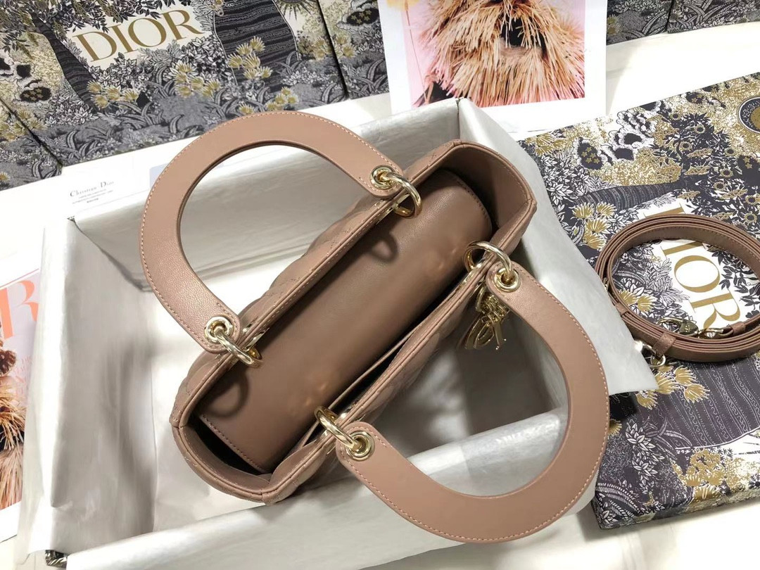 Medium Lady Dior Bag