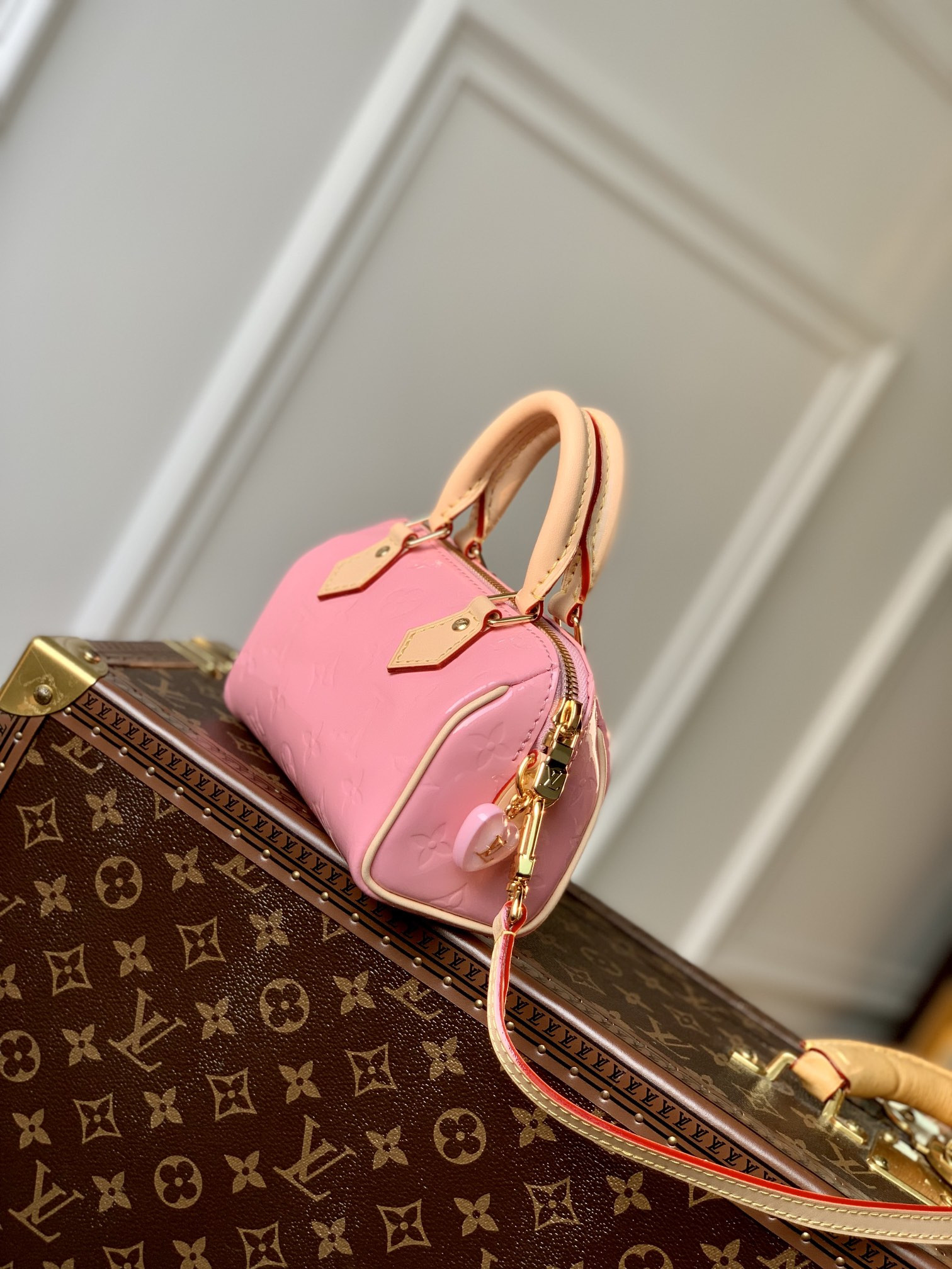 Louis Vuitton Speedy Bandoulière 25 Bag