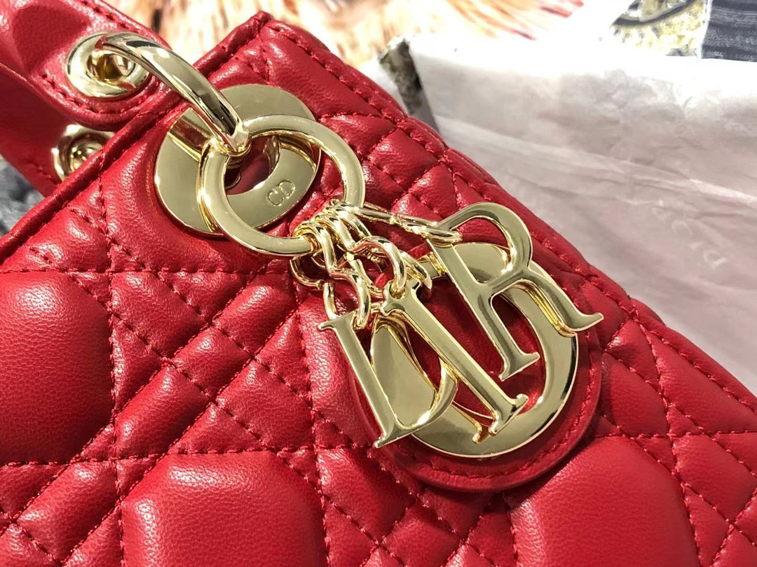 Mini Lady Dior Bag