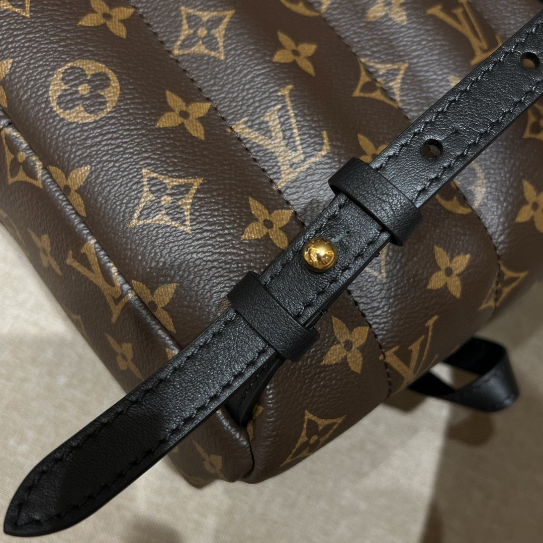 Louis Vuitton Palm Springs Bag