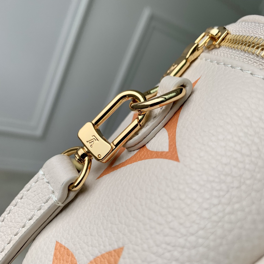 Louis Vuitton Bumbag Bag