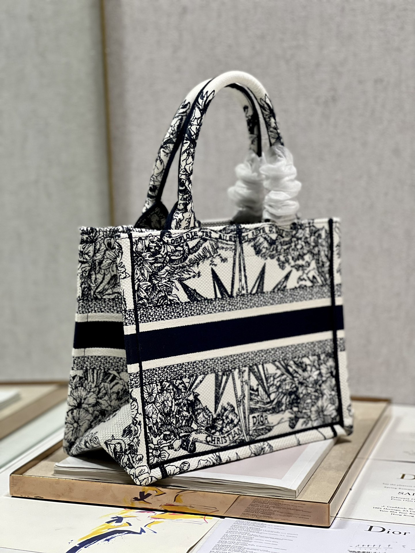 Small Dior Book Tote