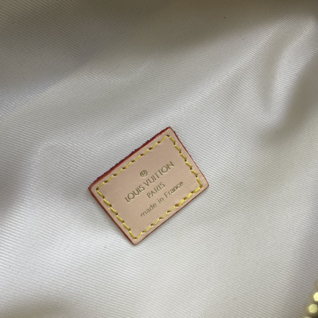 Louis Vuitton Bumbag Bag