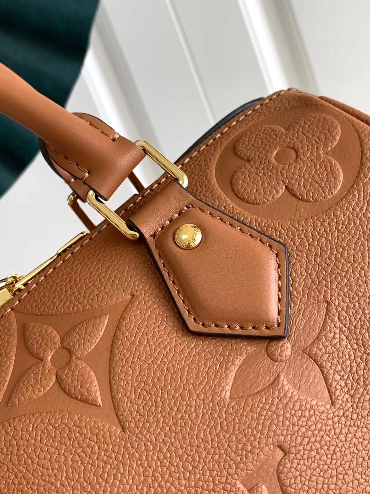 Louis Vuitton Speedy Bandoulière 25 Bag