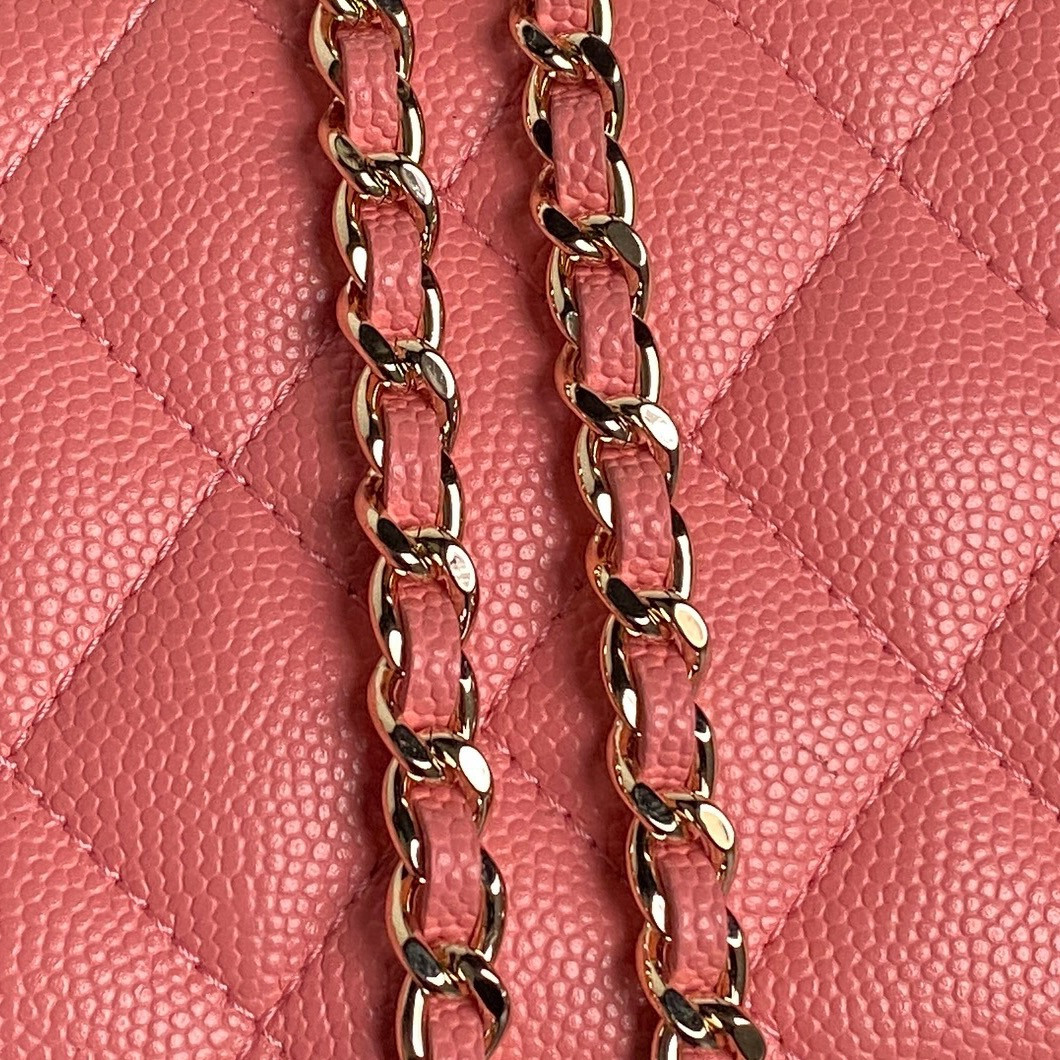 Chanel 25c Cosmetic Bag