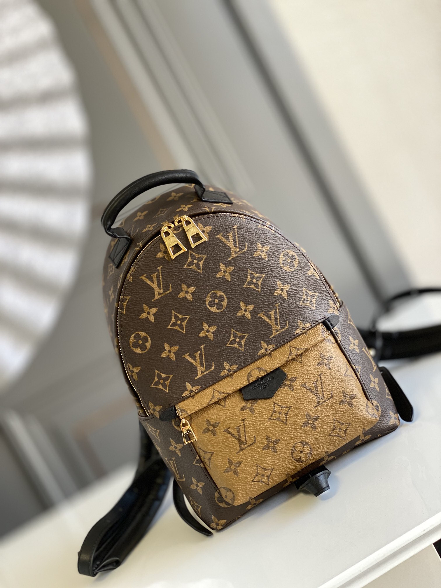 Louis Vuitton Palm Springs Bag
