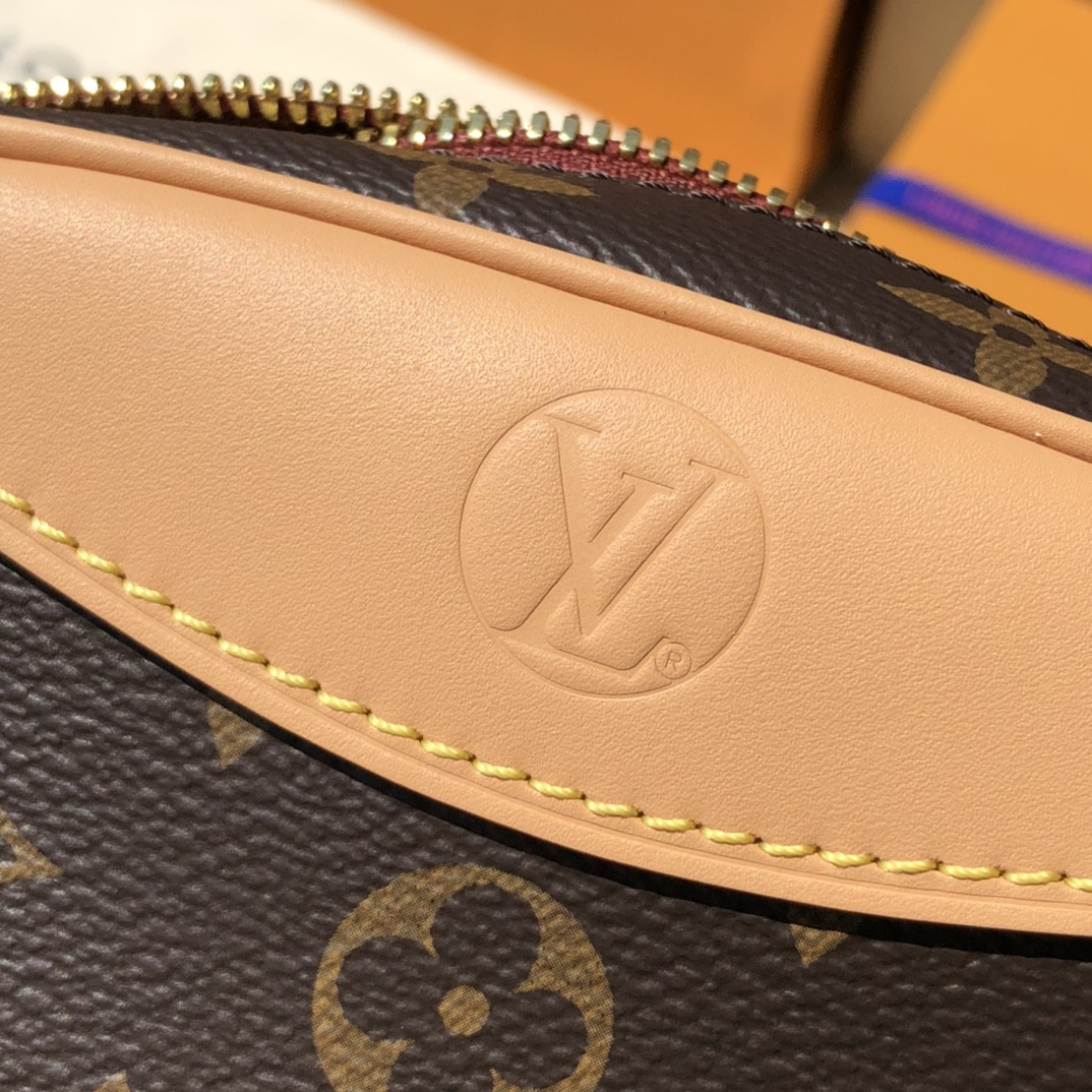 Louis Vuitton Hobo Dauphine Bag