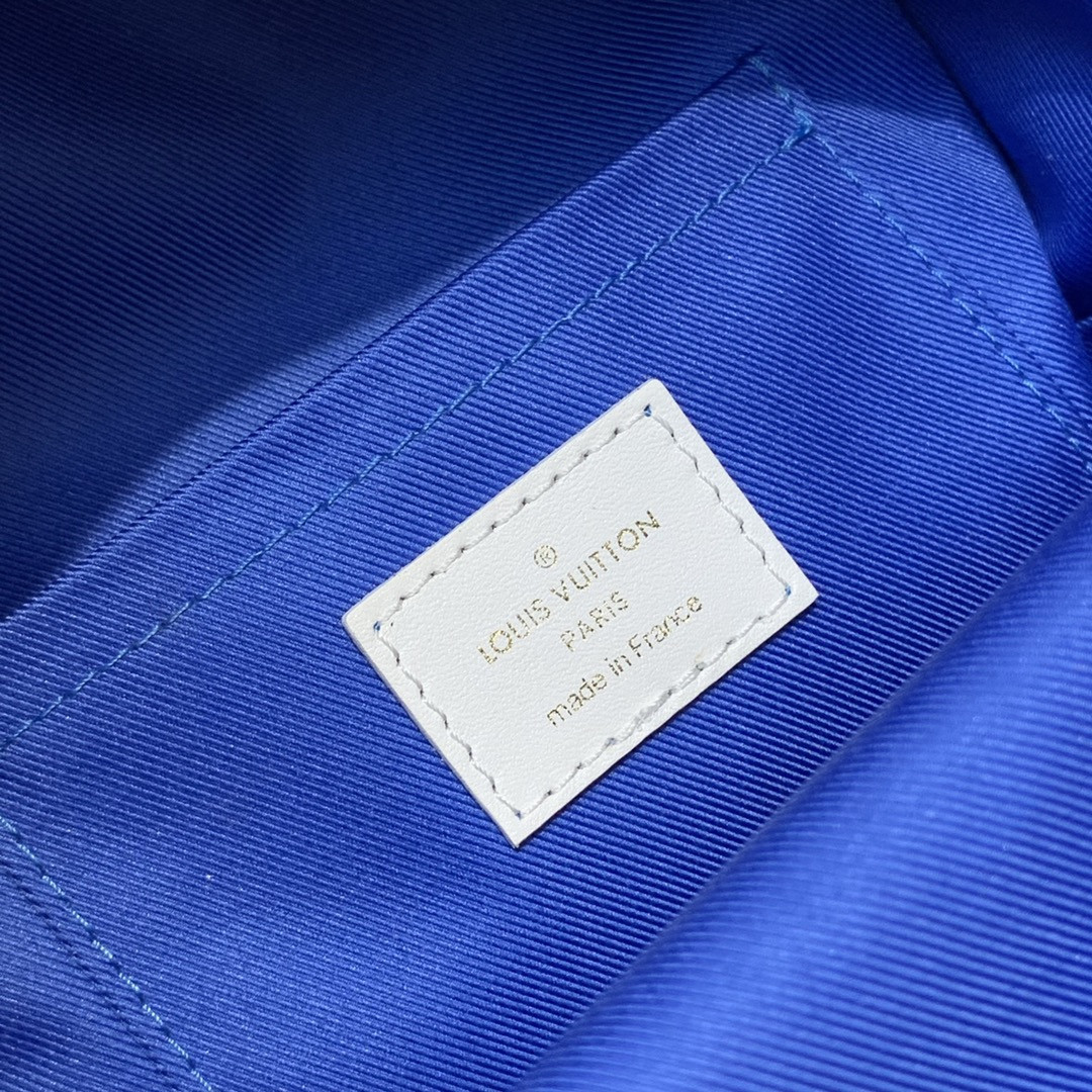 Louis Vuitton Palm Springs Bag