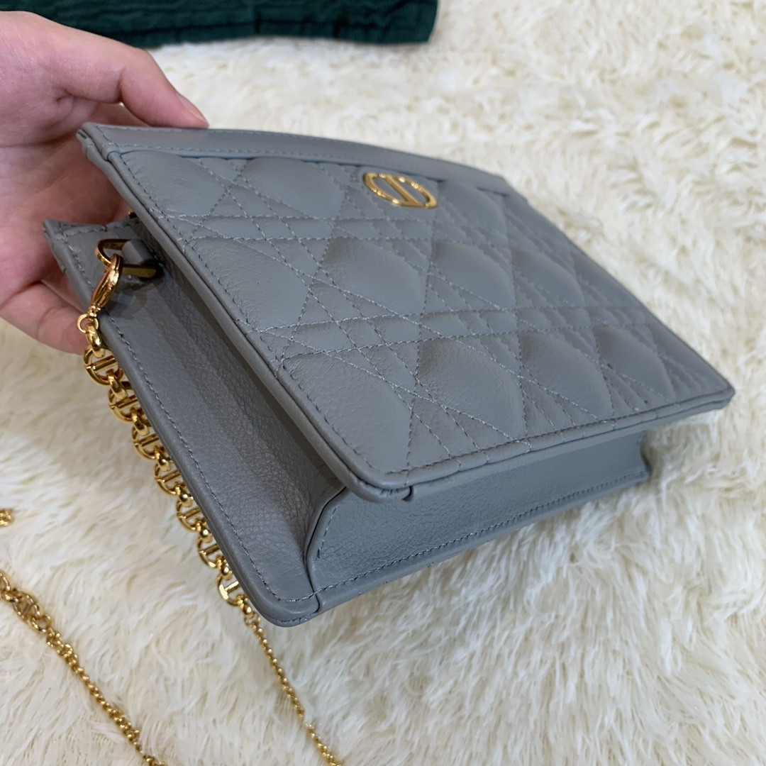 Dior Caro Zipped Pouch With Chain