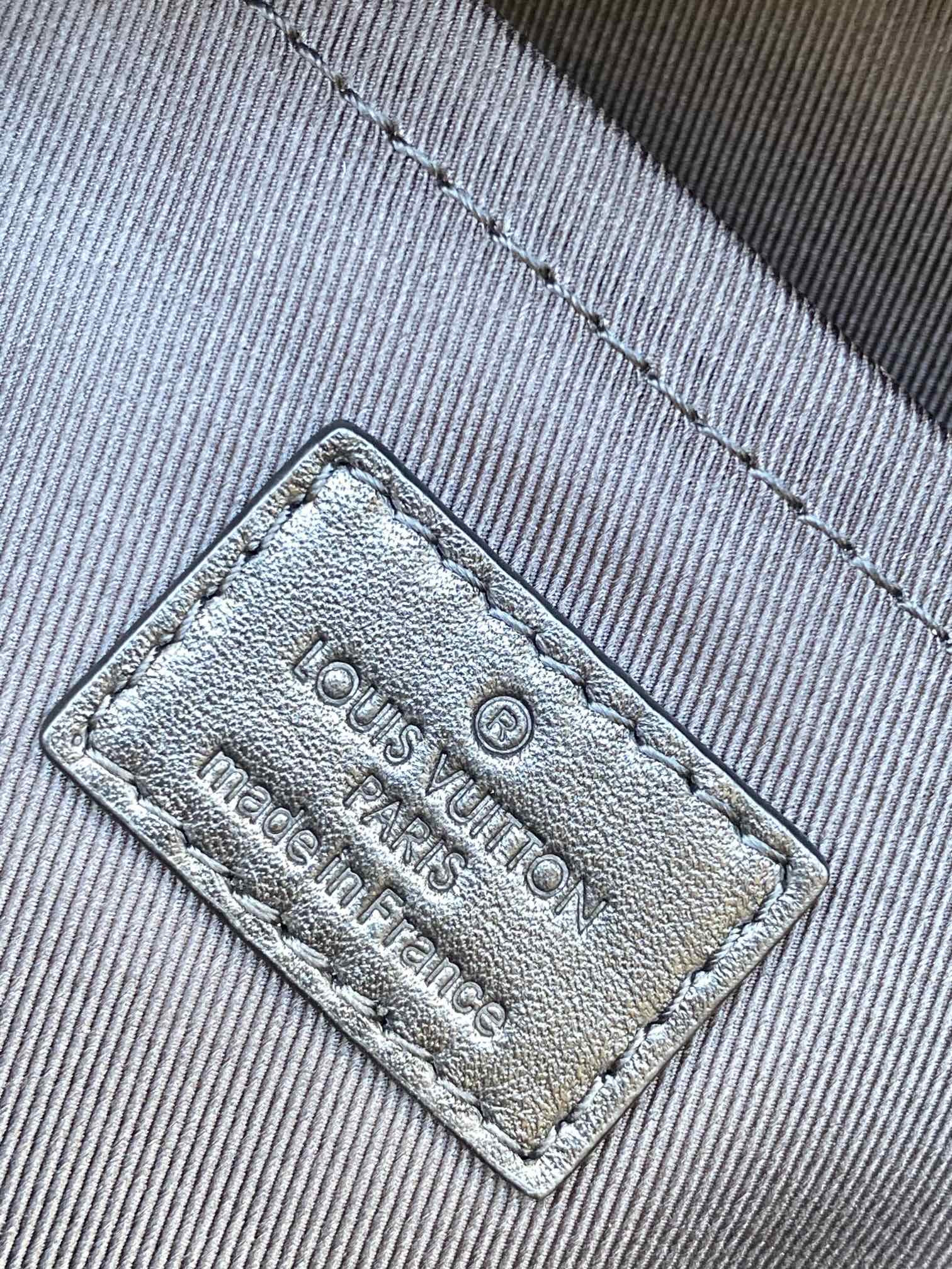 Louis Vuitton Palm Springs Bag