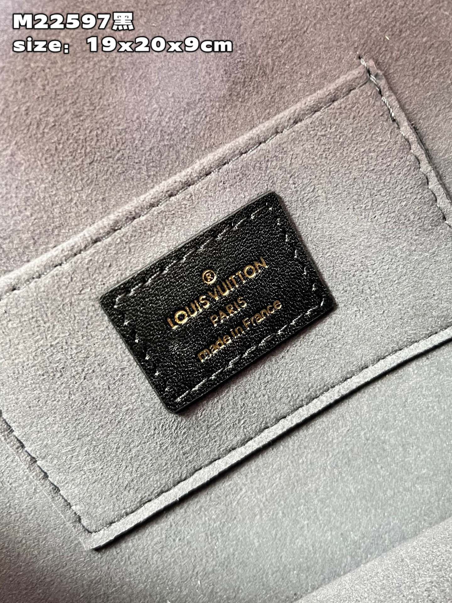 Louis Vuitton Dauphine Bag