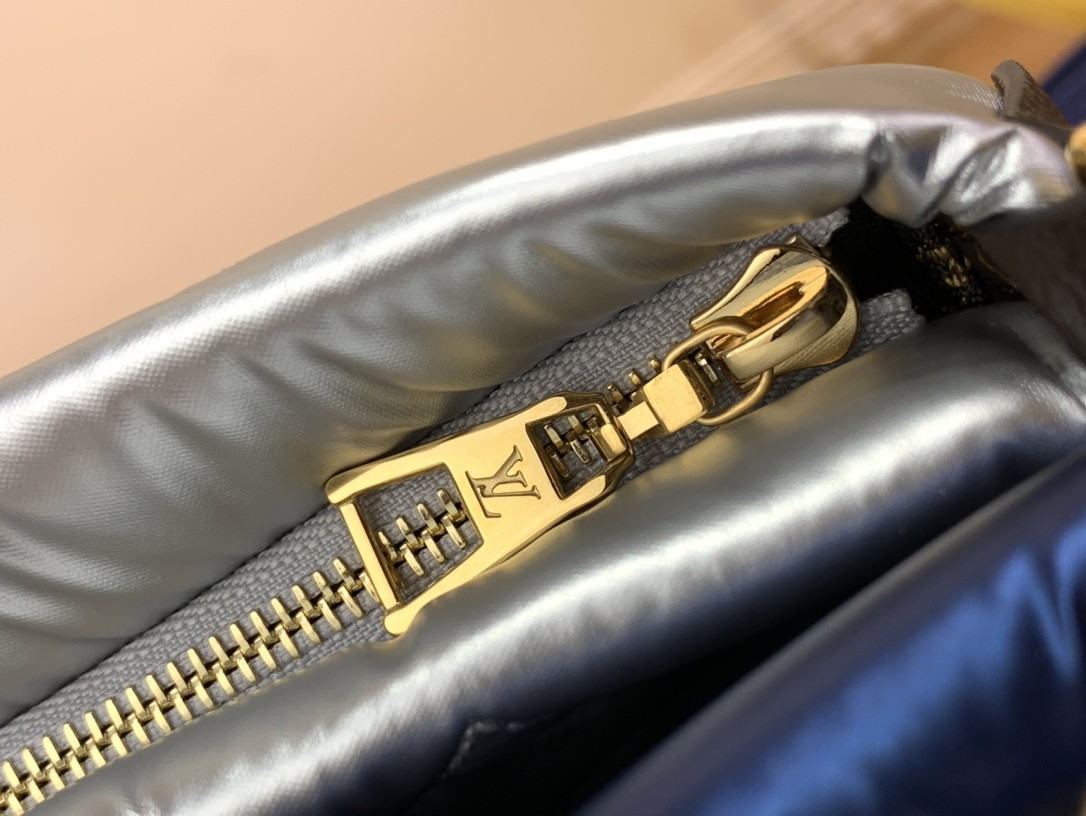 Louis Vuitton Maxi Multi Pochette Accessoires Bag