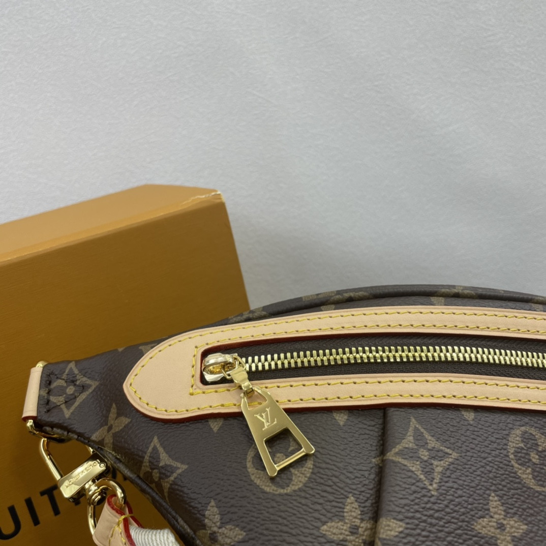 Louis Vuitton Bumbag Bag