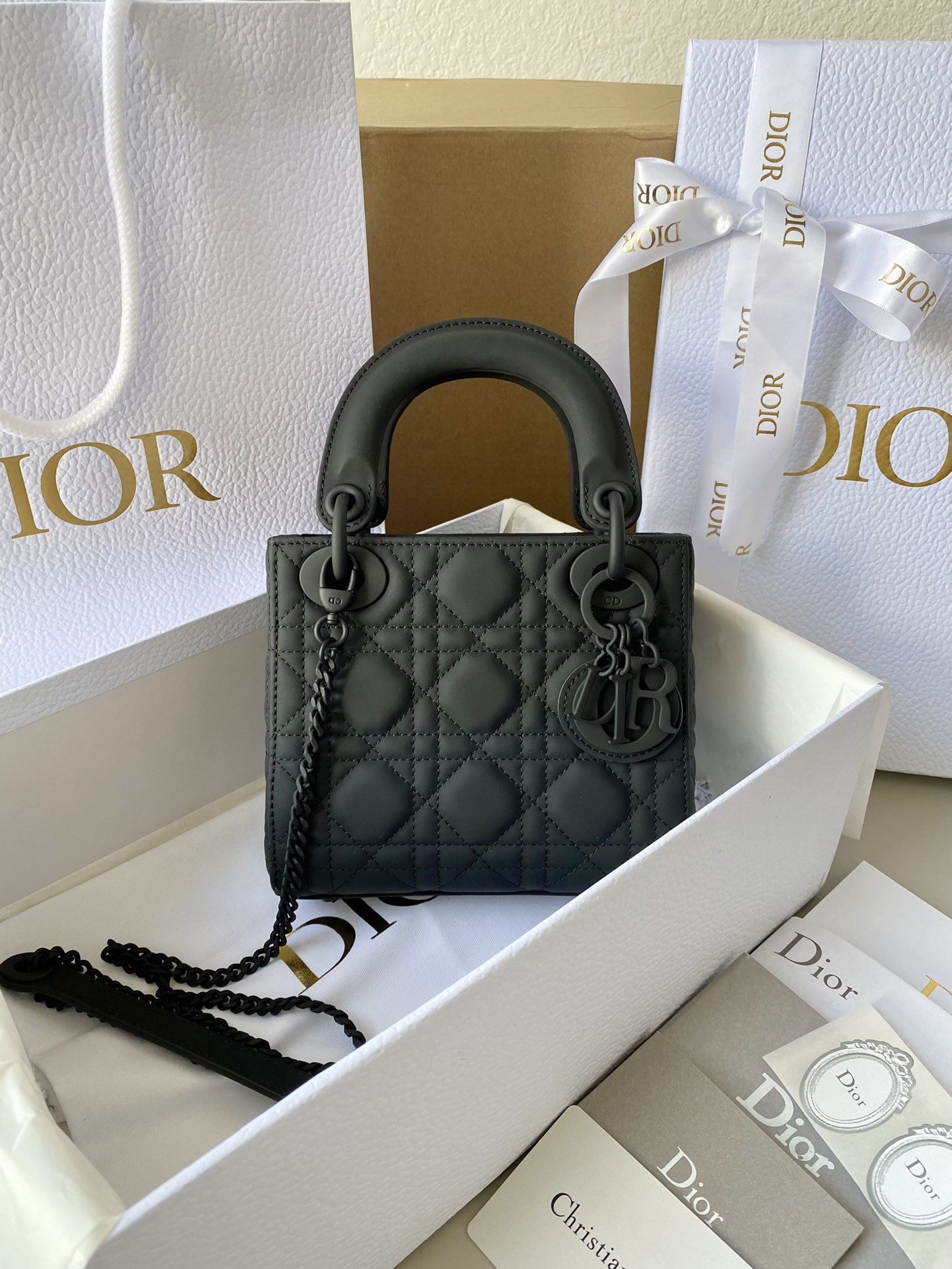 Mini Lady Dior Bag