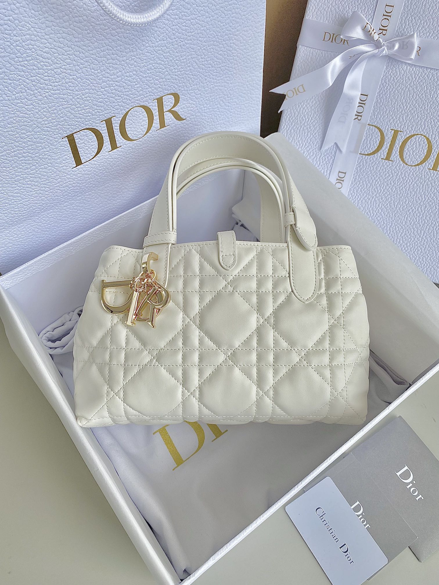 Dior Toujours Bag