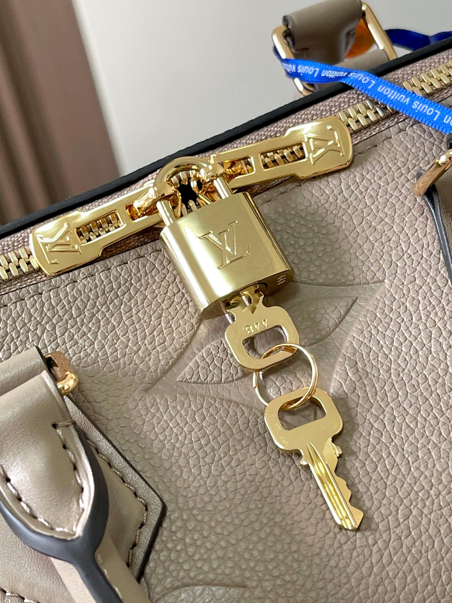 Louis Vuitton Speedy Bandoulière 25 Bag