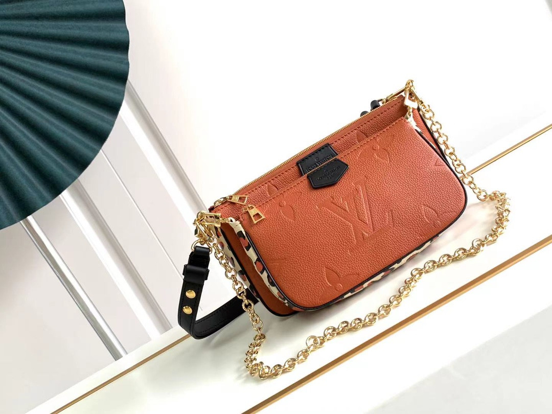 Louis Vuitton Multi Pochette Accessories Bag
