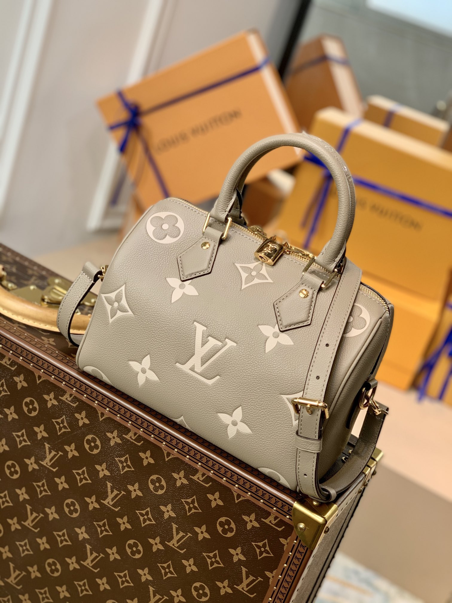 Louis Vuitton Speedy Bandoulière 25 Bag