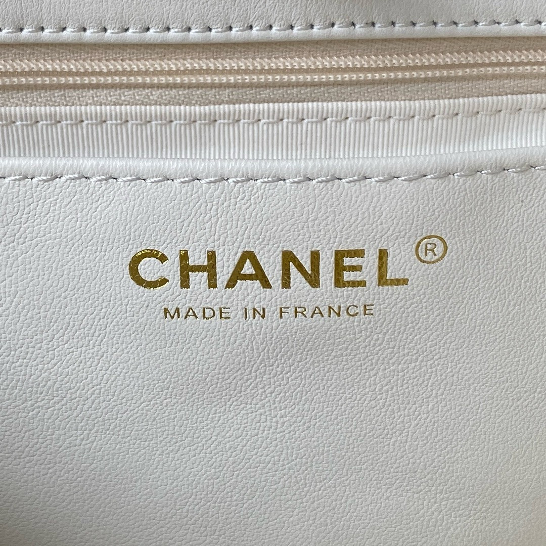 Chanel 23a Hobo Bag
