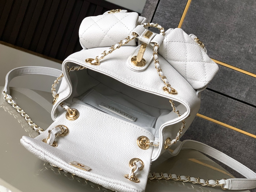 Chanel 25s Duma Bakpack