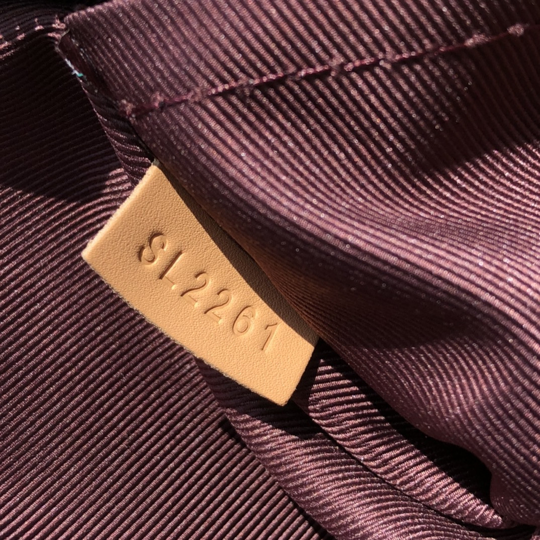 Louis Vuitton Hobo Dauphine Bag