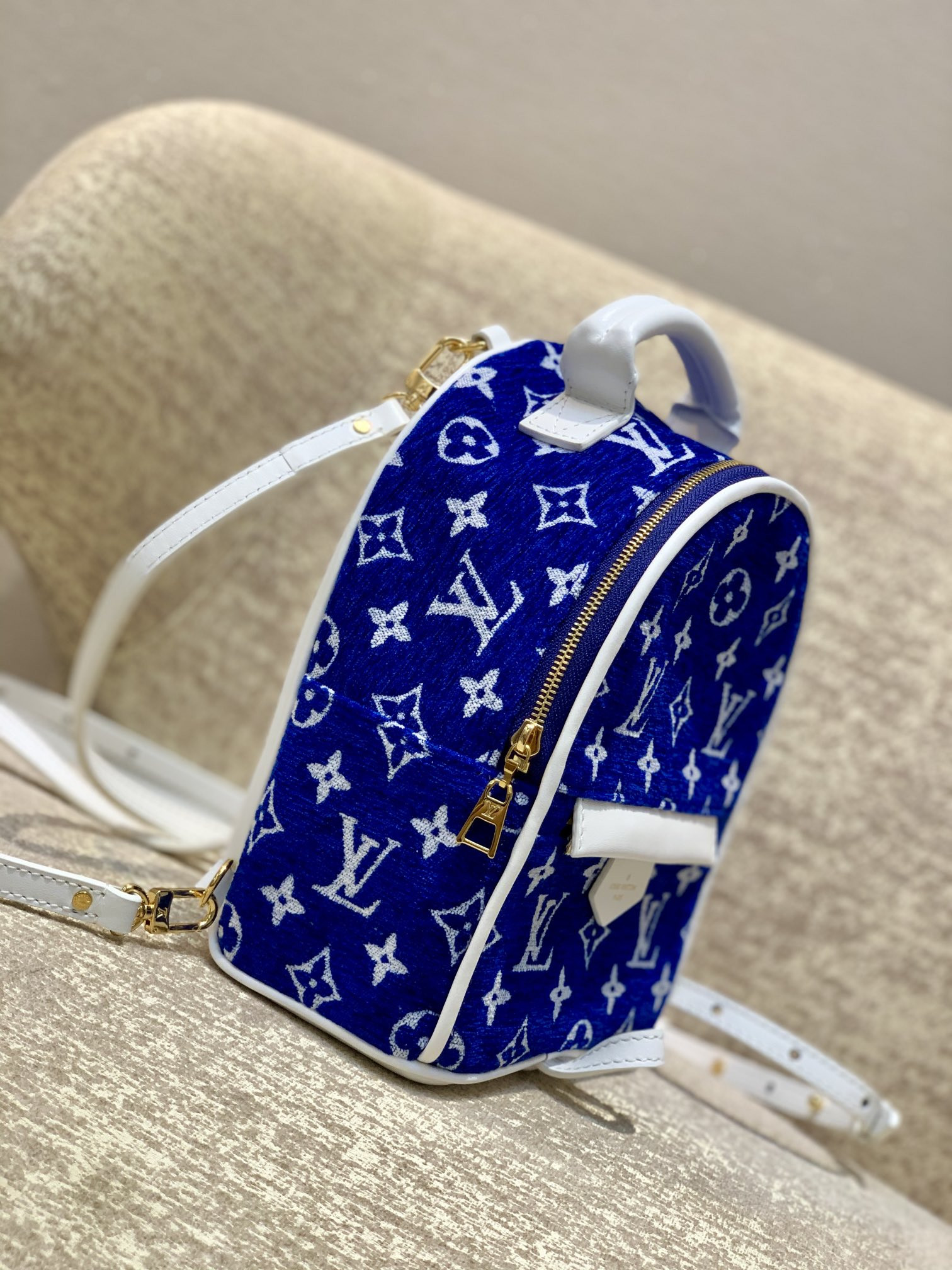 Louis Vuitton Palm Springs Bag