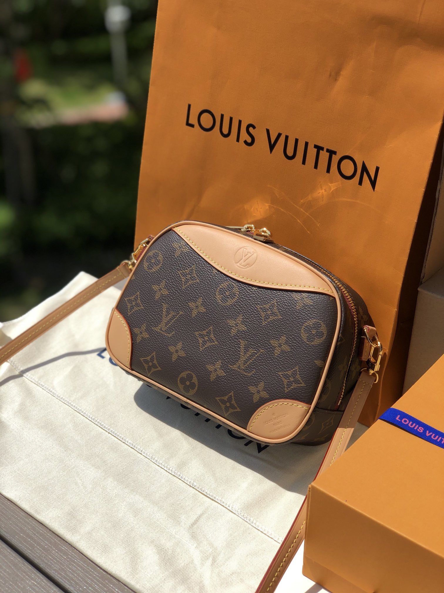 Louis Vuitton Hobo Dauphine Bag