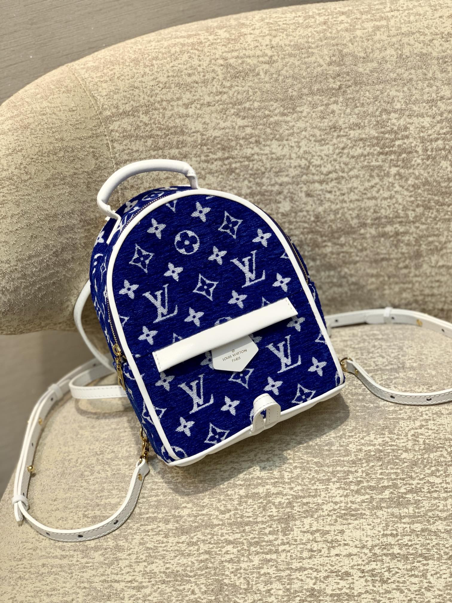 Louis Vuitton Palm Springs Bag