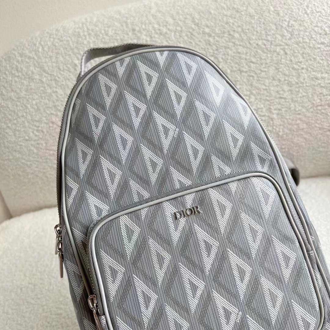 Dior Backpack