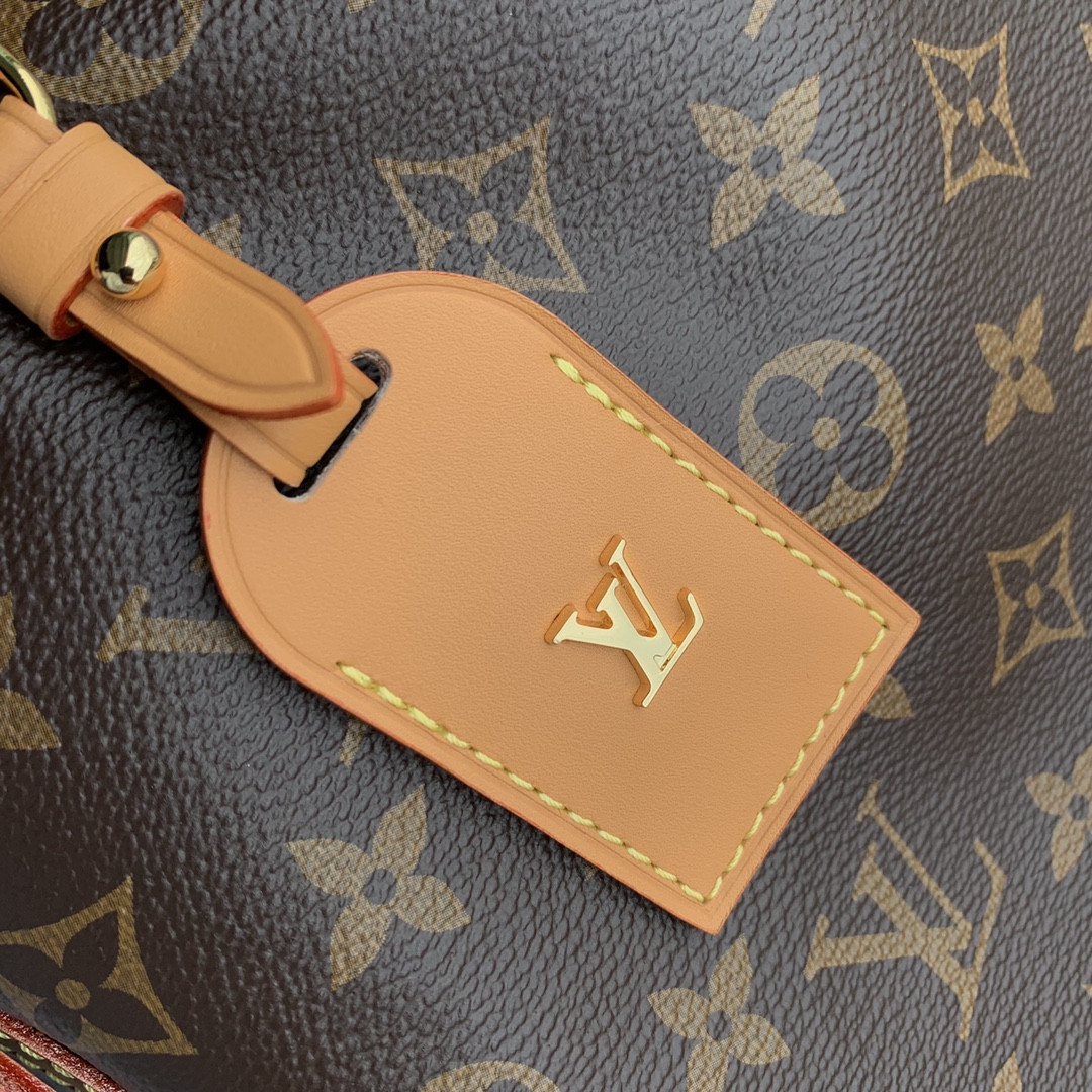 Louis Vuitton Carryall Bag