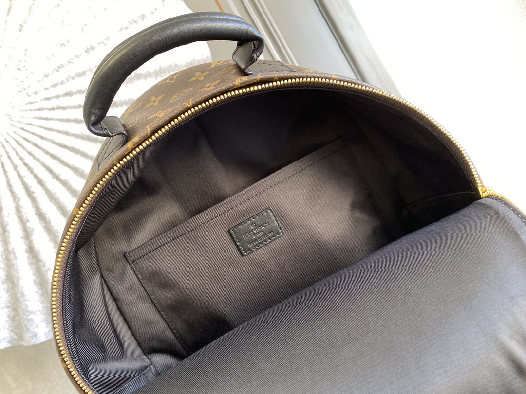 Louis Vuitton Palm Springs Bag