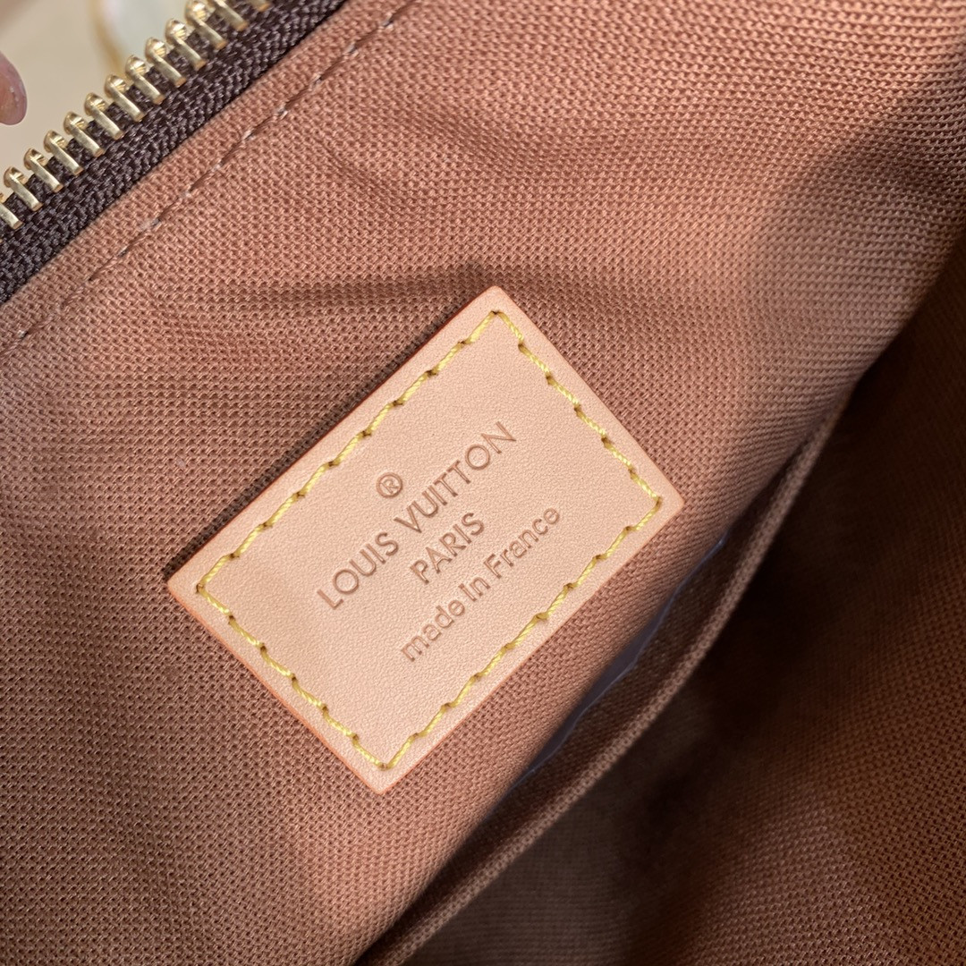 Louis Vuitton Odéon Bag